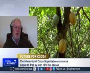 Steve Wateridge, Head of Research at Tropical Research Services spoke to CGTN Europe about why there is a chocolate shortage in the world.