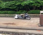 Occurred on March 9, 2024 / Badung, Bali, Indonesia&#60;br/&#62;&#60;br/&#62;Info: A monkey is found tearing the cushioning out of a moped seat.
