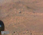 NASA&#39;s Mars helicopter Ingenuity flew for the 51st time. The Perseverance rover can be seen in the distance during the flight in an enhanced color image.&#60;br/&#62;&#60;br/&#62;Credit: Space.com &#124; footage courtesy: NASA/JPL-Caltech &#124; edited by Steve Spaleta