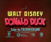 20 All in a Nutshell 1949 Disney Toon from toon ass