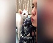 Welcome to PETS LEGENDS funny animals channel ♥&#60;br/&#62;You can enjoy the best funny cat and dog videos (≧▽≦) &#60;br/&#62;Thanks for watching our pet videos