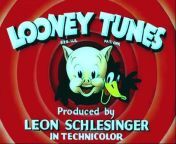 Looney Tunes - Yankee Doodle Daffy (1943) REMASTERED Old Cartoon from ayisha doodle