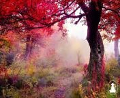 30 MinutesRelaxing Meditation Music • Inspiring Music, Sleepand calm anxiety (Red leaves) @432Hz from 19 minutes video