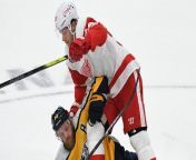 NHL Wild Card Race: Can Detroit Steal Final Spot from Pittsburgh? from invito a mi vecina a tener sexo anal y acepta