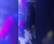 Disappointing video of Charlotte the pregnant virgin stingray from defloration of virgin girl hidden cam
