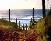 Home and Away 8239 10th April 2024 from 10th indi
