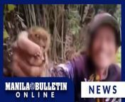 WARNING: GRAPHIC CONTENT&#60;br/&#62;&#60;br/&#62;A viral video of Philippine Tarsiers being disturbed in their habitat, shared by a vlogger identified as &#92;