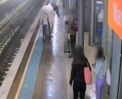 A runaway horse wandered onto a train platform in Australia last Friday.&#60;br/&#62;&#60;br/&#62;The horse was able to escape after a break-in at the stables of trainer Annabel Neasham in Sydney.&#60;br/&#62;&#60;br/&#62;Transport for NSW said on their Instagram: &#92;
