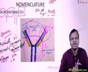 Monoclonal antibodies \ \anti cancer and IMG pharmacology from yukikah img