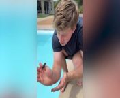 Robert Irwin saves tiny mouse from drowning in swimming pool: ‘Your father would be proud’ from family nudism naturist pool and gamhowstars hana topless