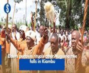 Kikuyu Council of Elders Kiama kia Ma outfit in Kiambu County onTuesday performed prayer rituals after a fig tree fell Monday evening due to the ongoing rains. https://rb.gy/cjxtee