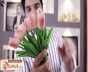 Ishq Murshid Last Episode 30 Teaser Promo Review By MR NOMAN ALEEM _ HUM TV DRAMA 2023 from du hum