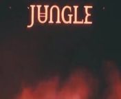 Coachella: Jungle Full Interview from cid jungle