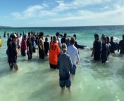 More than 150 pilot whales have been saved from stranding on a beach in Western Australia&#39;s southwest however 31 have died.