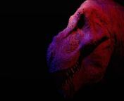 Scientists Question Claim , That T. Rex Was as Smart, as Modern Monkeys.&#60;br/&#62;&#39;Gizmodo&#39; reports that a team of researchers &#60;br/&#62;recently investigated claims that the Tyrannosaurus rex &#60;br/&#62;could have been as smart as monkeys.&#60;br/&#62;Last year, a paper was published in the journal &#60;br/&#62;&#39;Comparative Neurology,&#39; which claimed that theropods like &#60;br/&#62;Tyrannosaurus rex had a “monkey-like” numbers of neurons.&#60;br/&#62;According to that paper, this would have made &#60;br/&#62;the Tyrannosaurus rex &#92;