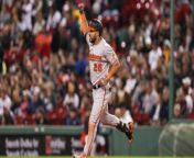 Orioles Dominate Yankees in AL East Showdown on Tuesday from american bulitasxxx