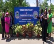 Today marks a pivotal role towards Tobago&#39;s tourism thrust and innovative learning, with the unveiling of the Tobago Hospitality and Tourism Institute sign in Mt. St. George. This, from Education Secretary Zorisha Hackett who said the unveiling augurs well for innovative learning. More in this Elizabeth Williams report.