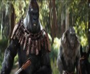 Kingdom of the Planet of the Apes Movie IMAX Trailer- Plot synopsis: Director Wes Ball breathes new life into the global, epic, franchise set several generations in the future following Caesar&#39;s reign, in which apes are the dominant species living harmoniously and humans have been reduced to living in the shadows. As a new tyrannical ape leader builds his empire, one young ape undertakes a harrowing journey that will cause him to question all that he has known about the past and to make choices that will define a future for apes and humans alike.&#60;br/&#62;&#60;br/&#62; &#60;br/&#62;&#60;br/&#62;directed by Wes Ball&#60;br/&#62;&#60;br/&#62;starring Owen Teague, Freya Allan, Peter Macon, Eka Darville, Kevin Durand, Travis Jeffery, Neil Sandilands, Sara Wiseman, Lydia Peckham, Ras-Samuel Weld A&#39;abzgi, William H. Macy, Dichen Lachman&#60;br/&#62;&#60;br/&#62;release date May 24, 2024 (in theaters)