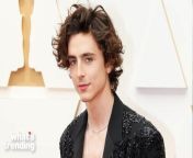 &#39;Wonka&#39; and &#39;Dune&#39; star Timotheé Chalamet is approaching stardom similar to Tom Cruise ahead of a multi-year deal with Warner Bros.