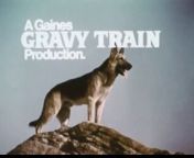 1960s Gravy Train dog rescues man from dynamite TV commercial.&#60;br/&#62;&#60;br/&#62;PLEASE click on the FOLLOW button - THANK YOU!&#60;br/&#62;&#60;br/&#62;You might enjoy my still photo gallery, which is made up of POP CULTURE images, that I personally created. I receive a token amount of money per 5 second viewing of an individual large photo - Thank you.&#60;br/&#62;Please check it out at CLICK A SNAP . com&#60;br/&#62;https://www.clickasnap.com/profile/TVToyMemories