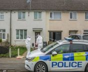 A man has been arrested on suspicion of murder after the body of a woman was found at a house in Tile Cross, Birmingham.&#60;br/&#62;&#60;br/&#62;The woman, 48, was found at a home in Mulwych Road just before 1pm on March 30 after concerns were raised for her welfare.&#60;br/&#62;&#60;br/&#62;A man aged 49 was arrested on suspicion of her murder at around 5.30pm and remains in custody for questioning.&#60;br/&#62;Video from SWNS