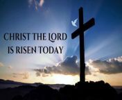 Christ The Lord is Risen Today | Lyric Video | Easter from banjara lyrics