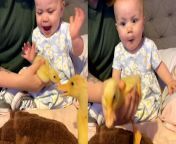 &#39;Endearing footage has surfaced of a baby girl learning the meaning of &#92;