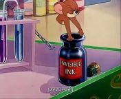 Tom and Jerry The invisible mouse