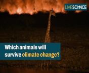 Even the toughest species might have a limit under climate change.