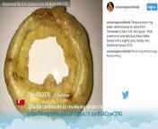 Lorde Confirms She Started An Instagram Dedicated To Onion Rings &#92;