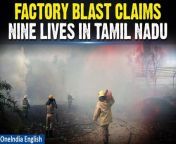 On Saturday, a devastating explosion rocked a firecracker factory in the Vembakottai area of Tamil Nadu&#39;s Virudhunagar, claiming the lives of at least nine individuals and leaving several others injured. The magnitude of the blast was so severe that four buildings, in addition to the factory, were reduced to rubble.&#60;br/&#62;&#60;br/&#62; #Virudhunagar #FirecrackerFactoryBlast #Vembakottai #TamilNadu #TamilNaduFirecrackerFactoryBlast #VembakottaiFirecrackerFactoryBlast #VirudhunagarFirecrackerFactoryBlast &#60;br/&#62;~PR.151~ED.102~GR.121~HT.96~