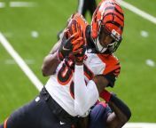 Tee Higgins: What's the Future for the Bengals Receiver? from bengal hd xxxx