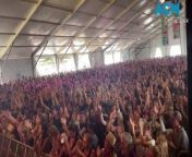 The Big Sunday Singout at Port Fairy Folk Festival from fairy tail blowjob