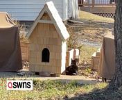A couple built a fully-insulated luxury house for their neighbourhood stray cat and now he sleeps there every night.&#60;br/&#62;&#60;br/&#62;Chris, 35, and Danica Gadeken, 31, first noticed the moggie about three years ago when he was just a kitten.&#60;br/&#62;&#60;br/&#62;They lost sight of him for about a year before he reappeared last year, only this time much larger.&#60;br/&#62;&#60;br/&#62;As winter approached in Lincoln, Nebraska, USA, Chris and Danica became concerned for the cat, who they affectionately named Fat Billy.&#60;br/&#62;&#60;br/&#62;As Fat Billy was too skittish to be officially adopted and welcomed into their home, they decided to build him a luxury house in their yard.
