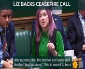 Liz Saville Roberts raises Emily's campaign in Parliament from julie movie song
