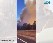 Emergency services responded to a Taradale bushfire by the Calder Freeway on March 2, 2024.