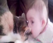 baby and funny cat