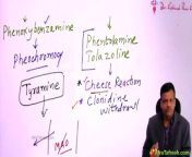 Anti adrenergicdrugs | ANS | MBBS 2nd year | pharmacology from antis poto