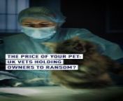 Could you put a price on how much you love your pet?In the UK, where there are 16 million pet owners, spending a whopping &#36;2.5 billion on veterinary costs each year, the love for their furry friends knows no bounds. &#60;br/&#62;&#60;br/&#62;A recent report by the UK’s Competition and Markets Authority suggests large companies are dominating the industry limiting choice and driving up prices. &#60;br/&#62;&#60;br/&#62;Have you experienced any financial surprises at the vet&#39;s lately? Share your thoughts! ️ &#60;br/&#62;&#60;br/&#62;#Dog #Cat#VetBills #UK #Pets