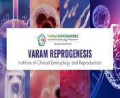 Completing an MSc in Biotechnology opens up a world of exciting career opportunities in various sectors, from healthcare and pharmaceuticals to agriculture and environmental science. At Varam Reprogenesis, we understand the significance of this academic milestone and the potential it holds for aspiring biotechnologists. In this article, we explore the career pathways and possibilities available to graduates After MSc Biotechnology with Varam Reprogenesis.&#60;br/&#62;Graduates with an MSc in Biotechnology often pursue careers in research and development, where they contribute to groundbreaking discoveries and innovations in biotechnology. At Varam Reprogenesis, our research facilities provide opportunities for talented biotechnologists to work on cutting-edge projects in areas such as stem cell research, regenerative medicine, and reproductive biotechnology.&#60;br/&#62;The biopharmaceutical industry offers abundant career opportunities for MSc Biotechnology graduates, with roles ranging from drug discovery and development to quality control and regulatory affairs. Varam Reprogenesis collaborates with leading pharmaceutical companies to provide internship and employment opportunities for graduates interested in pursuing careers in the biopharmaceutical sector.&#60;br/&#62;&#60;br/&#62;Contact Us:&#60;br/&#62;&#60;br/&#62;Address : No. 41 &amp; 42,&#60;br/&#62;TP Tower , 2nd Floor, Near Arch,&#60;br/&#62;TPK Road, Pasumalai, Madurai.&#60;br/&#62;Phone: +91 9047722279&#60;br/&#62;Email: varamreprogenesis@gmail.com&#60;br/&#62;Website: www.varamreprogeneis.com&#60;br/&#62;