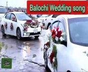 Best Brahvi or Balochi wedding song.... from brahvi sixy video