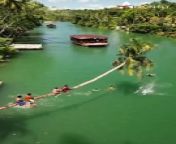 Having the best day of their lives along the loboc river &#60;br/&#62;.&#60;br/&#62;.&#60;br/&#62;Bohol, Philippines