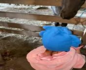This cute little girl was friends with Cody, her beloved horse. She headed into the barn and offered him a treat which he enjoyed munching.