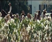 12 Years a Slave Bande-annonce (FR) from black male slave whipping by white mistress