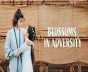 Blossoms in Adversity - Episode 27 (EngSub)