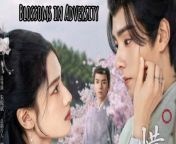 Blossoms in Adversity - Episode 31 (EngSub)