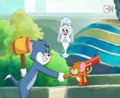 Compilation | Tom & Jerry | Cartoon Network from www cn xxx