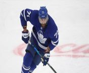 Maple Leafs Win Crucial Game Amidst Playoff Stress - NHL Update from karina hart doggy