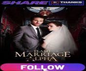 flash marriage with my alpha PART 1 from live me flash