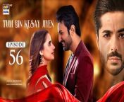 Watch all the episode of Tum Bin Kesay Jiyen here : https://bit.ly/3xKkG8Z&#60;br/&#62;&#60;br/&#62;Tum Bin Kesay Jiyen Episode 56 &#124; Saniya Shamshad &#124; Junaid Jamshaid Niazi &#124; 25 April 2024 &#124; ARY Digital Drama &#60;br/&#62;&#60;br/&#62;Subscribehttps://bit.ly/2PiWK68&#60;br/&#62;&#60;br/&#62;Friendship plays important role in people’s life. However, real friendship is tested in the times of need…&#60;br/&#62;&#60;br/&#62;Director: Saqib Zafar Khan&#60;br/&#62;&#60;br/&#62;Writer: Edison Idrees Masih&#60;br/&#62;&#60;br/&#62;Cast:&#60;br/&#62;Saniya Shamshad, &#60;br/&#62;Hammad Shoaib, &#60;br/&#62;Junaid Jamshaid Niazi,&#60;br/&#62;Rubina Ashraf, &#60;br/&#62;Shabbir Jan, &#60;br/&#62;Sana Askari, &#60;br/&#62;Rehma Khalid, &#60;br/&#62;Sumaiya Baksh and others.&#60;br/&#62;&#60;br/&#62;Watch Tum Bin Kesay Jiyen Daily at 7:00PM ARY Digital&#60;br/&#62;&#60;br/&#62;#tumbinkesayjiyen#saniyashamshad#junaidniazi#RubinaAshraf #shabbirjan#sanaaskari&#60;br/&#62;&#60;br/&#62;Pakistani Drama Industry&#39;s biggest Platform, ARY Digital, is the Hub of exceptional and uninterrupted entertainment. You can watch quality dramas with relatable stories, Original Sound Tracks, Telefilms, and a lot more impressive content in HD. Subscribe to the YouTube channel of ARY Digital to be entertained by the content you always wanted to watch.&#60;br/&#62;&#60;br/&#62;Download ARY ZAP: https://l.ead.me/bb9zI1&#60;br/&#62;&#60;br/&#62;Join ARY Digital on Whatsapphttps://bit.ly/3LnAbHU